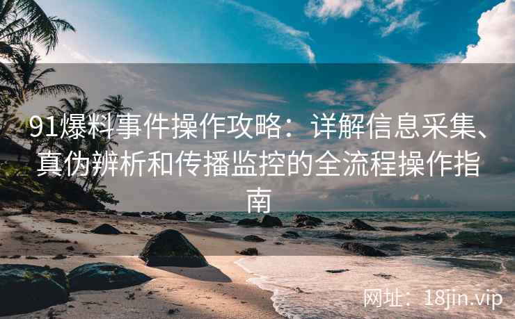 91爆料事件操作攻略：详解信息采集、真伪辨析和传播监控的全流程操作指南