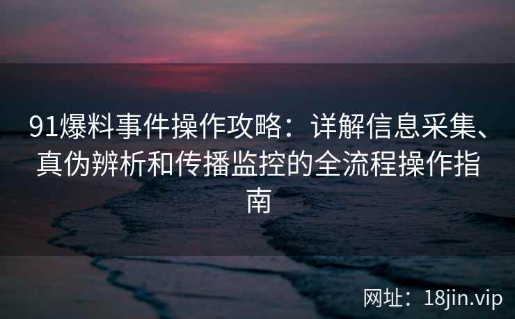 91爆料事件操作攻略：详解信息采集、真伪辨析和传播监控的全流程操作指南