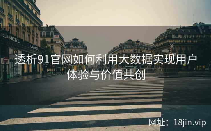 透析91官网如何利用大数据实现用户体验与价值共创