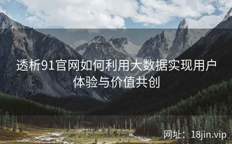 透析91官网如何利用大数据实现用户体验与价值共创
