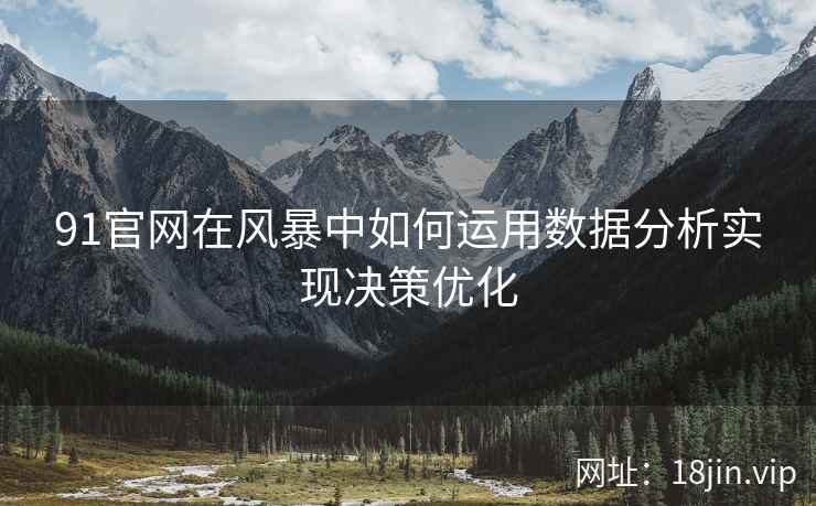 91官网在风暴中如何运用数据分析实现决策优化