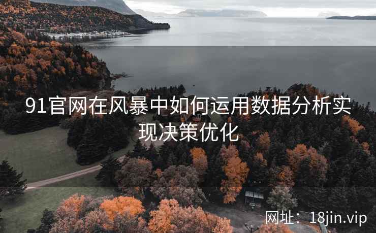 91官网在风暴中如何运用数据分析实现决策优化