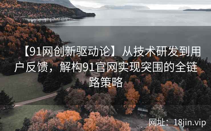【91网创新驱动论】从技术研发到用户反馈，解构91官网实现突围的全链路策略